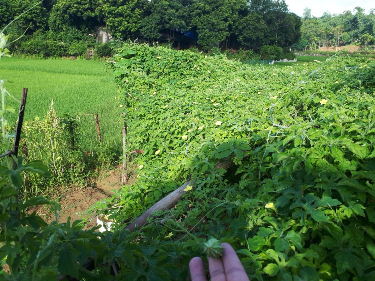 Meadow Mai Chau Homestay Esterno foto