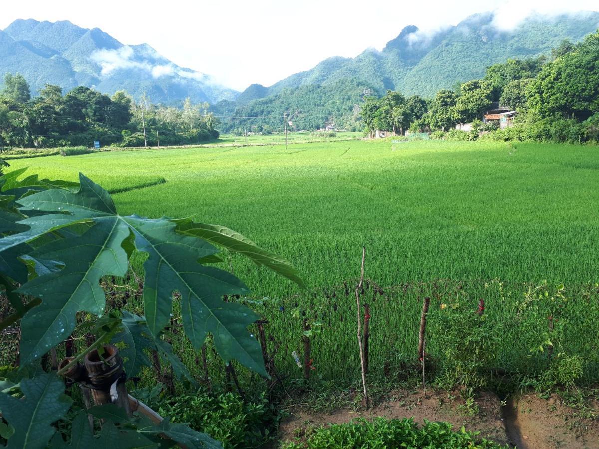 Meadow Mai Chau Homestay Esterno foto