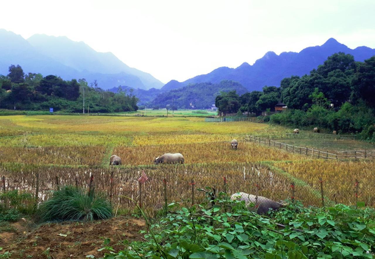 Meadow Mai Chau Homestay Esterno foto