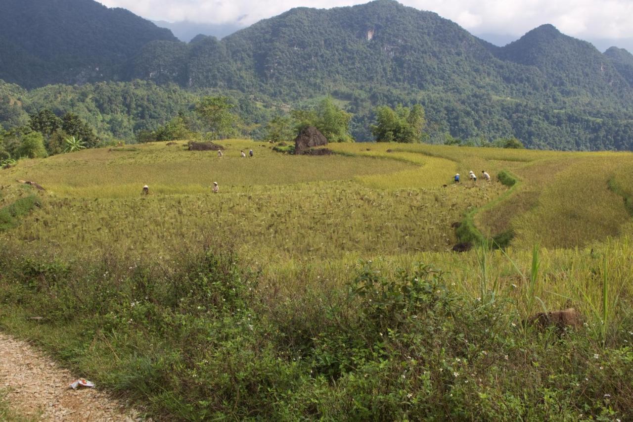 Meadow Mai Chau Homestay Esterno foto