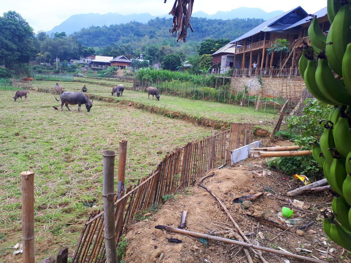 Meadow Mai Chau Homestay Esterno foto